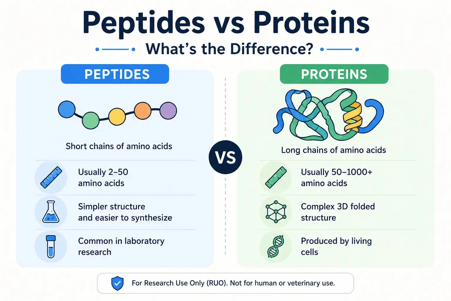 Peptides vs Proteins: What’s the Difference?