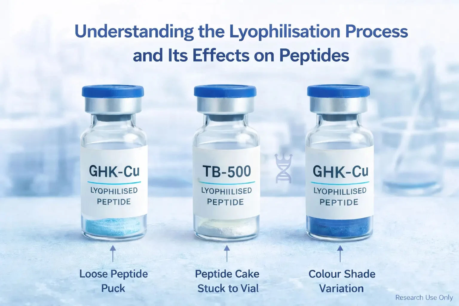 Understanding the Lyophilisation Process and Its Effects on Peptides